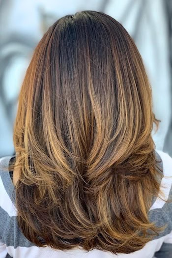 Long Brunette Layers with Highlights, back view.