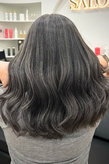 Gray Blend on Thick Dark Hair, back view.