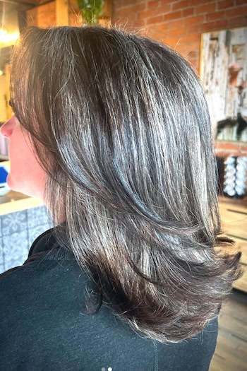 Shiny Gray Blend on Feathered Dark Brown Layers Hairstyle, back view.