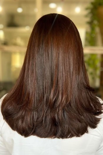 Glossy Chocolate Brown Long Layers Hair Color and Hairstyle, from back.