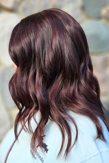 Deep Plum Brown Blend Hair Color