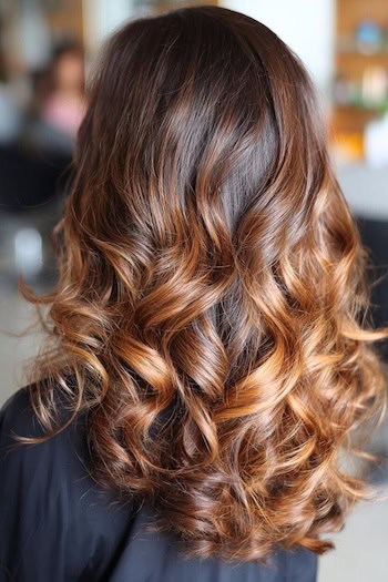Deep Brunette with Copper Lights Hair Color